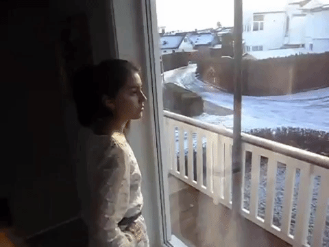 giphy-1.gif