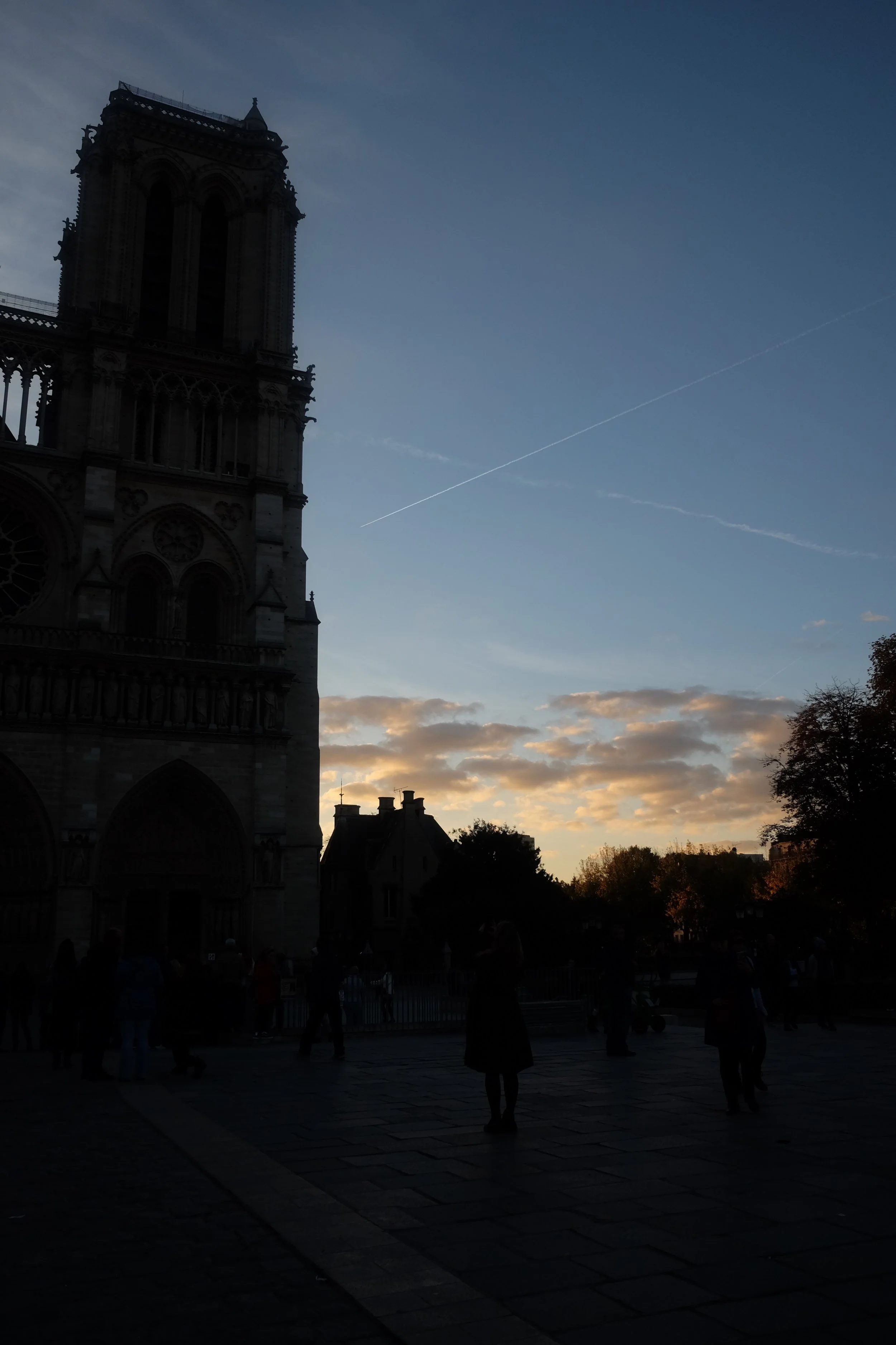 DSCF5665.jpg