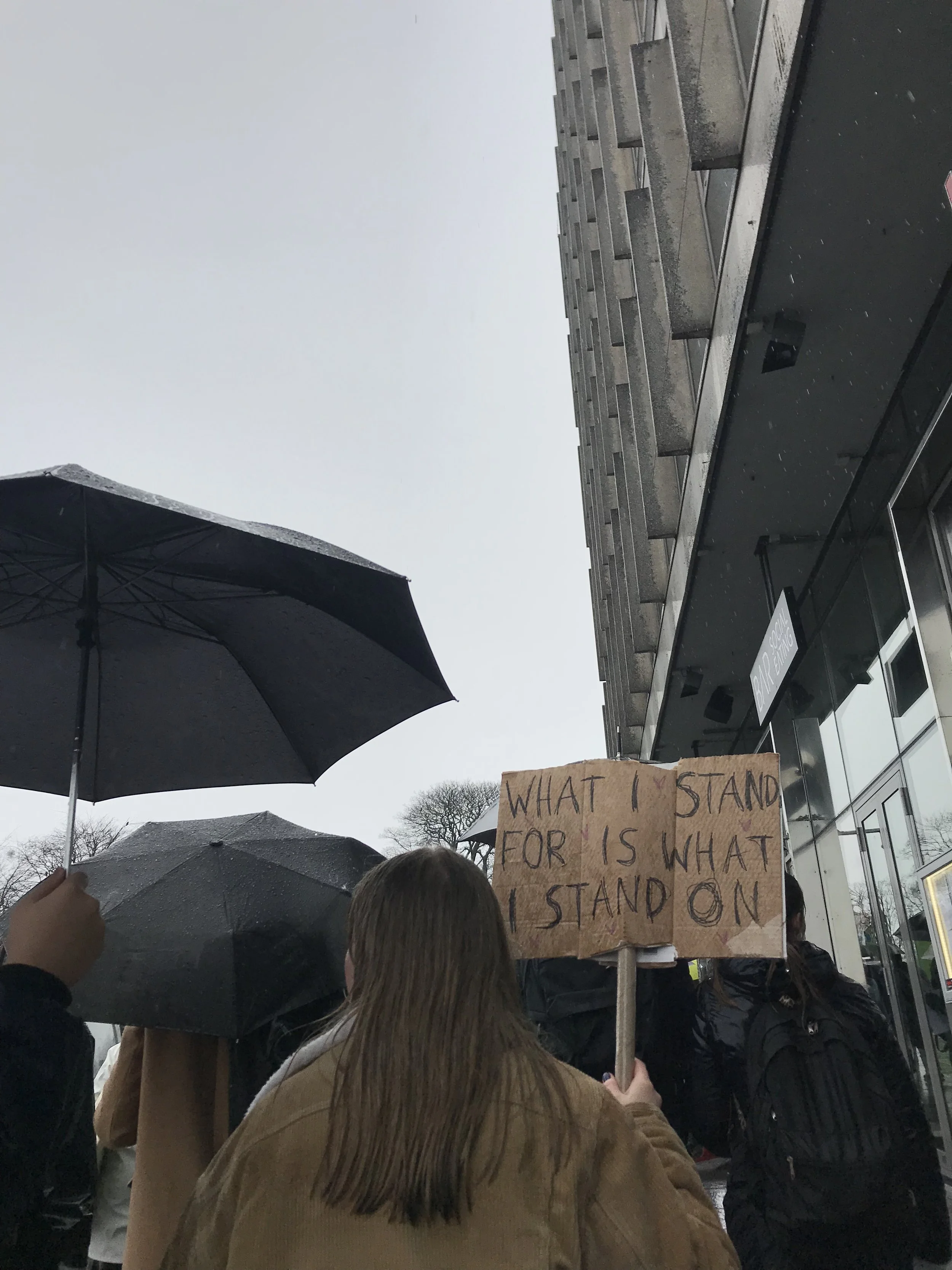 “Why study for a future we won’t have?”