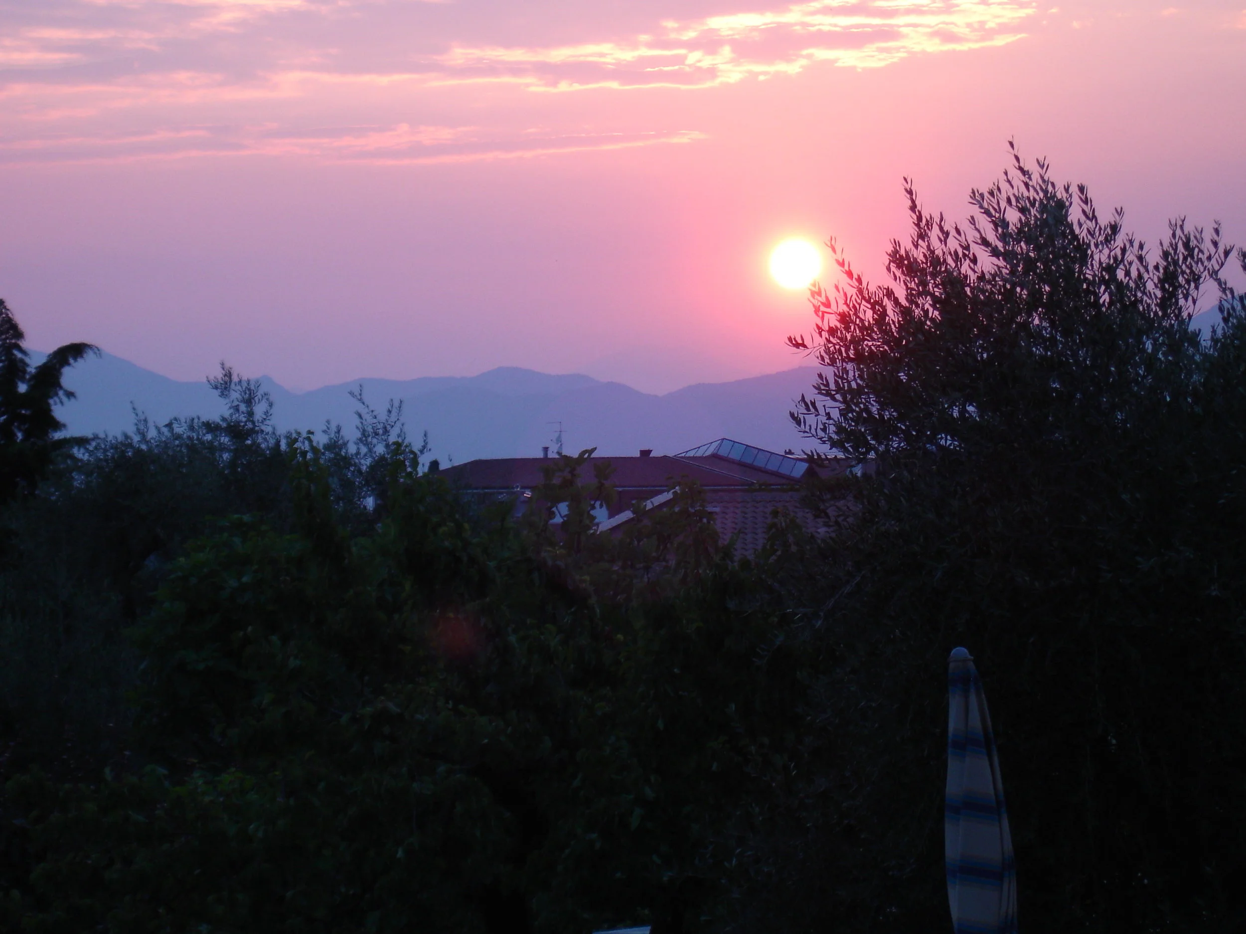 DSC02002_2.jpg