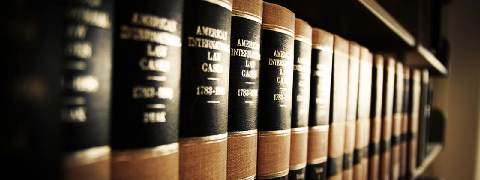 law_books51.jpg