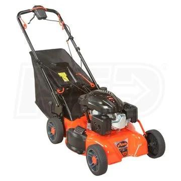 Ariens 2018 mower 3.jpg