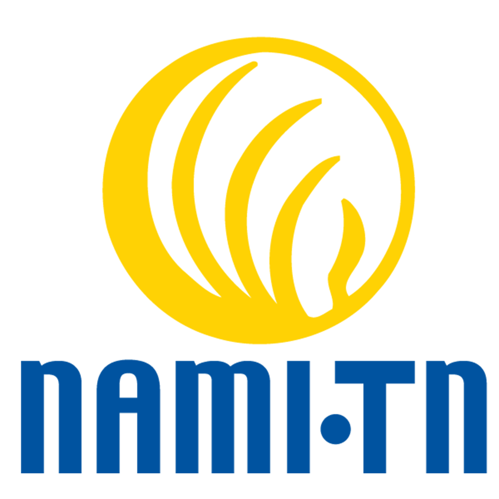 NAMI Radio Hour