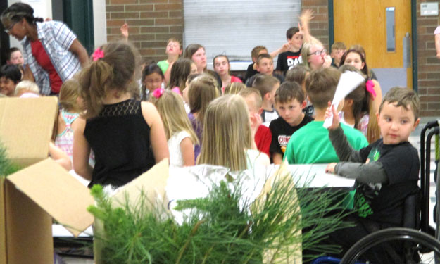 Tiny trees awaiting planting at the 2018 Arbor Day event at Waitsburg Elementary.