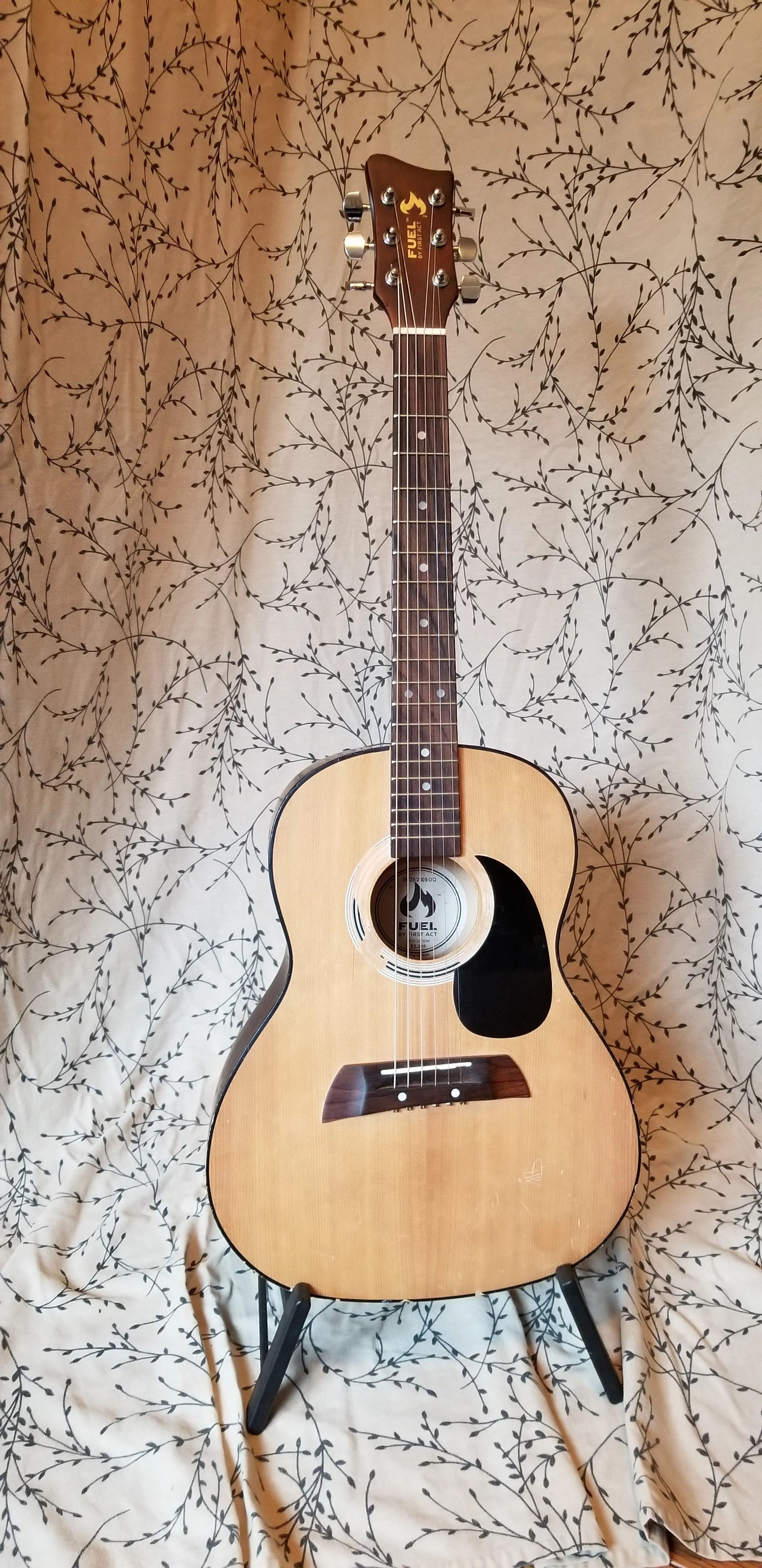 Mythical Moveable Blue Mountain Bluegrass Jam!