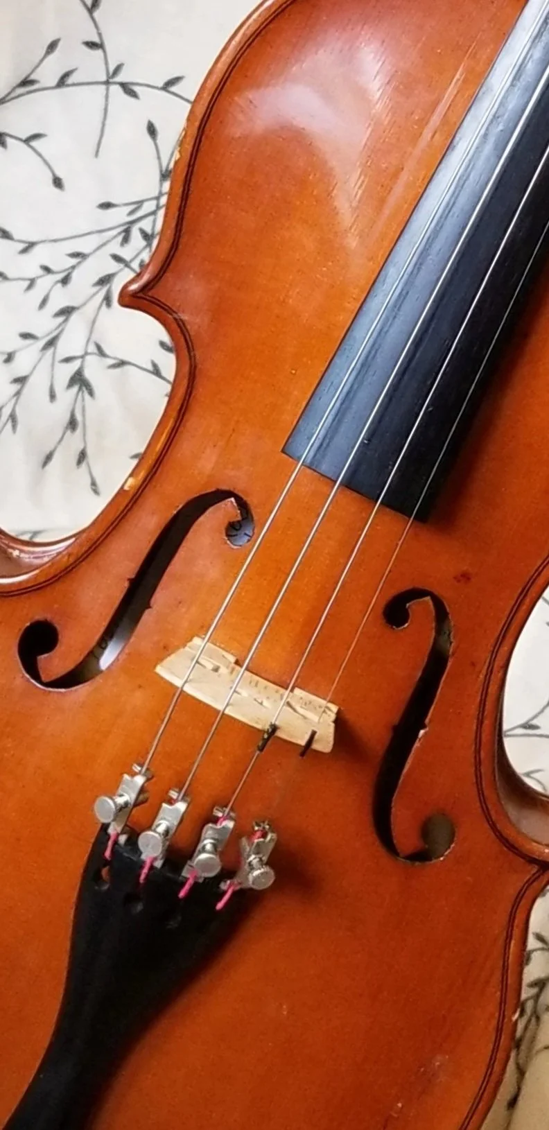 Mythical Moveable Blue Mountain Bluegrass Jam