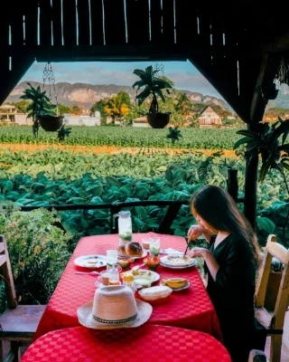 vinales_valley_eco_farming_cuba.jpg