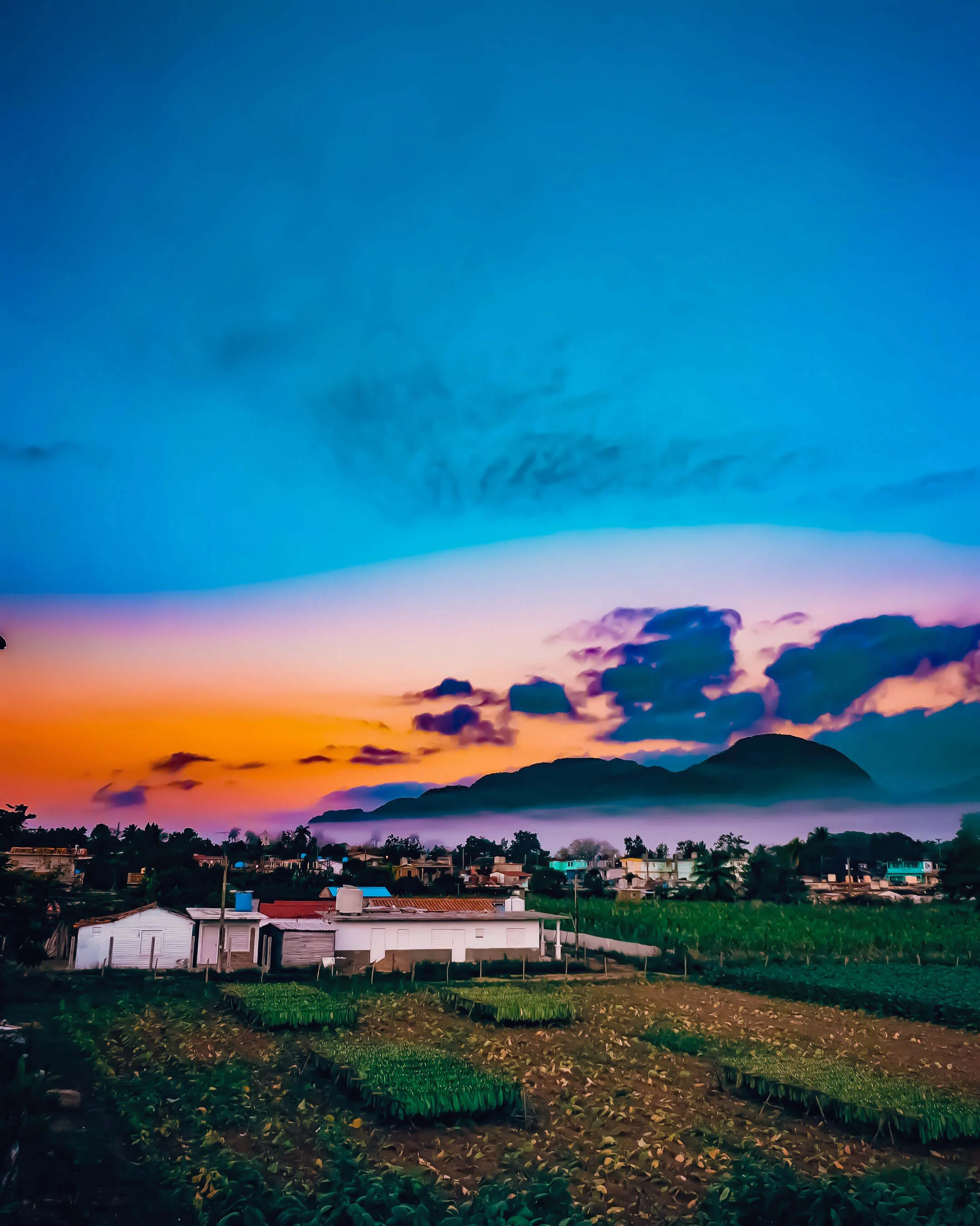 kamil_vinales_sunrise.jpg