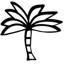 royal_palm_cuba_journey.png