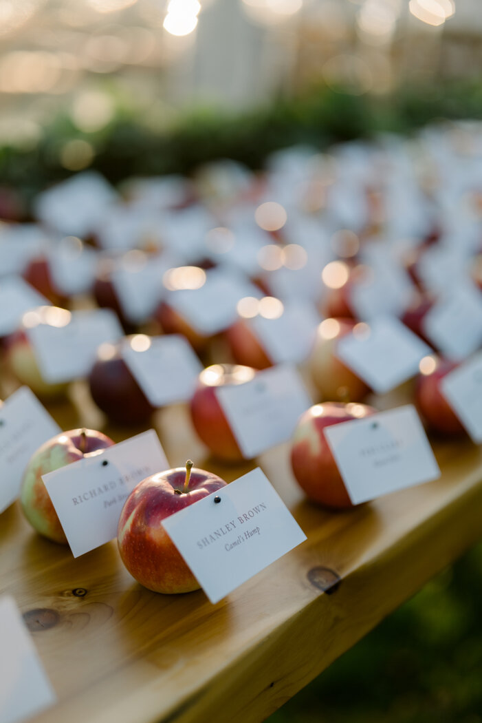 110-RachelBuckleyWeddings.JPG