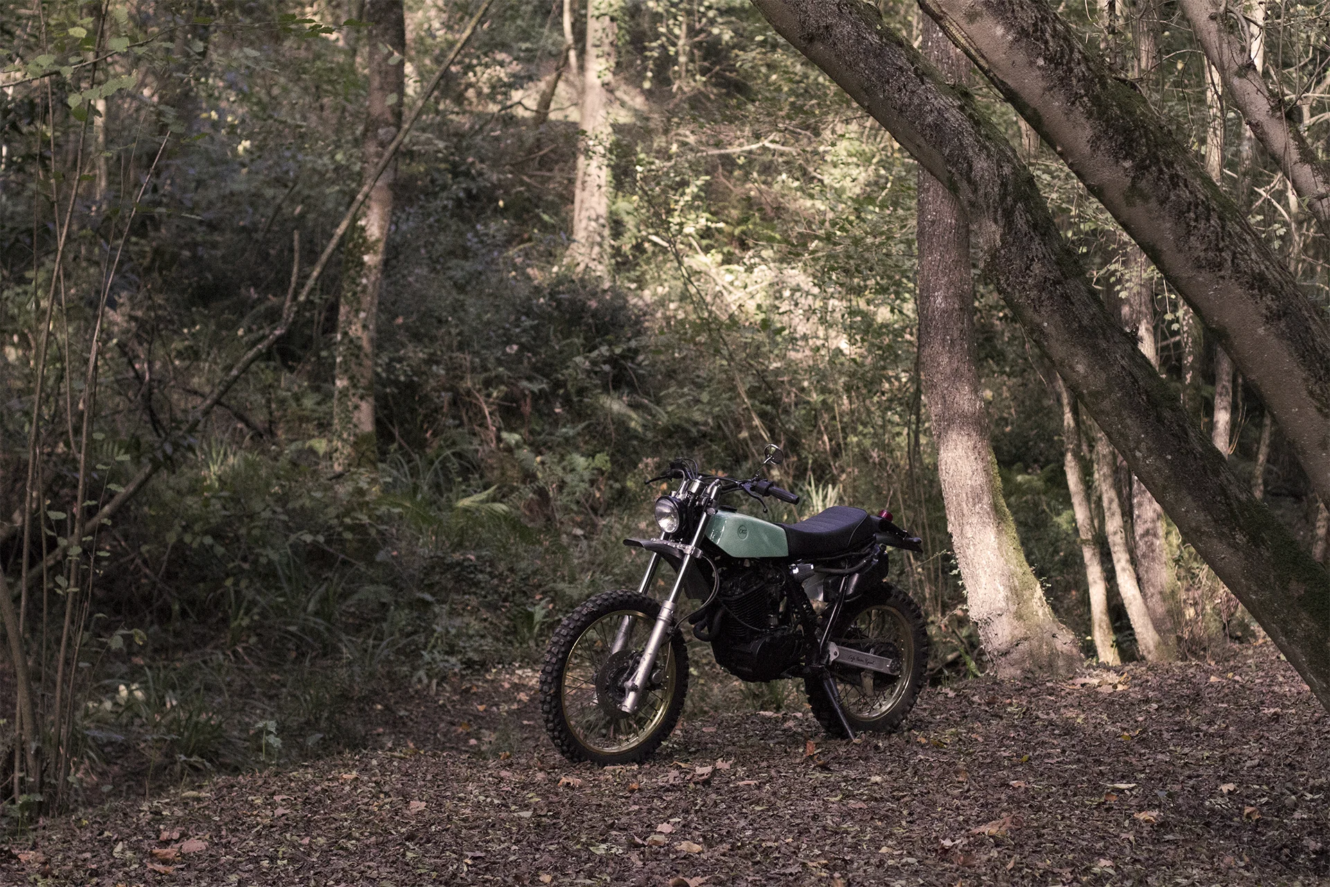 yamaha_xt600_scrambler_fondo2.jpg