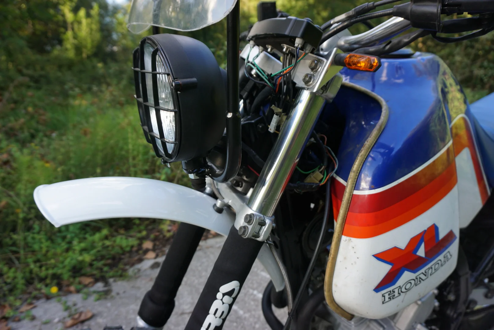 LRG_DSC02051.jpeg