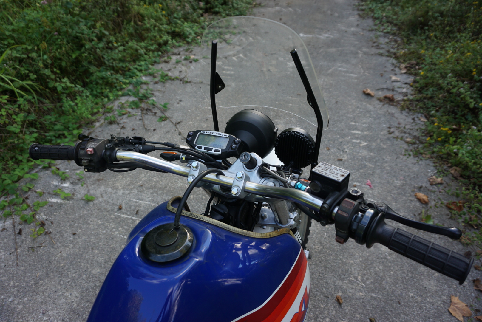 LRG_DSC02055.jpeg