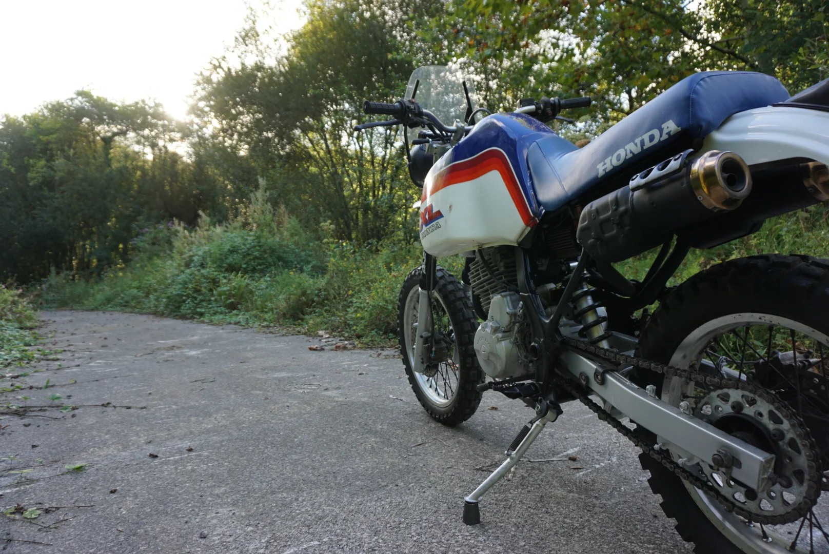 LRG_DSC02059.jpeg