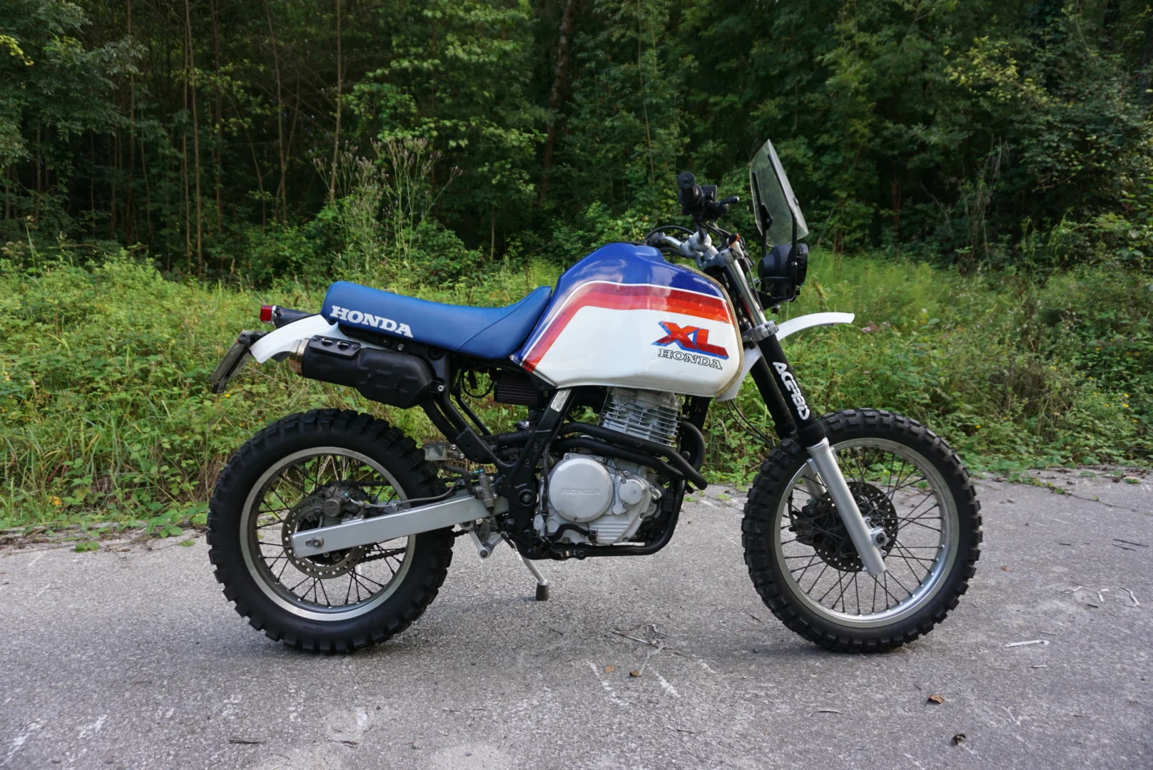 LRG_DSC02075.jpeg