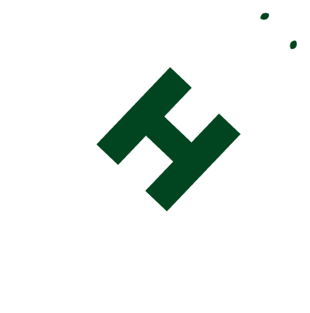 Turtle Holdings