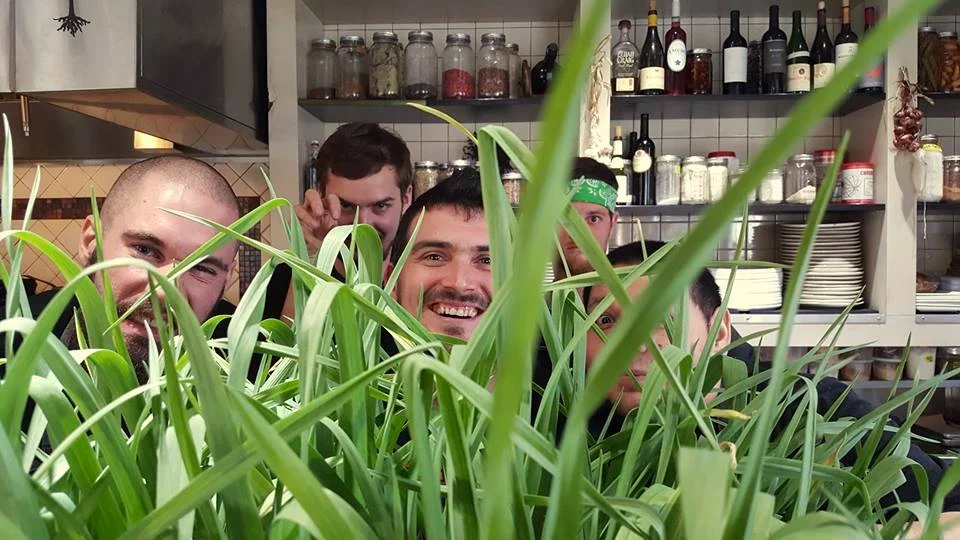 Welcome to the Jungle