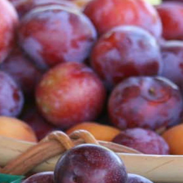 plums.png