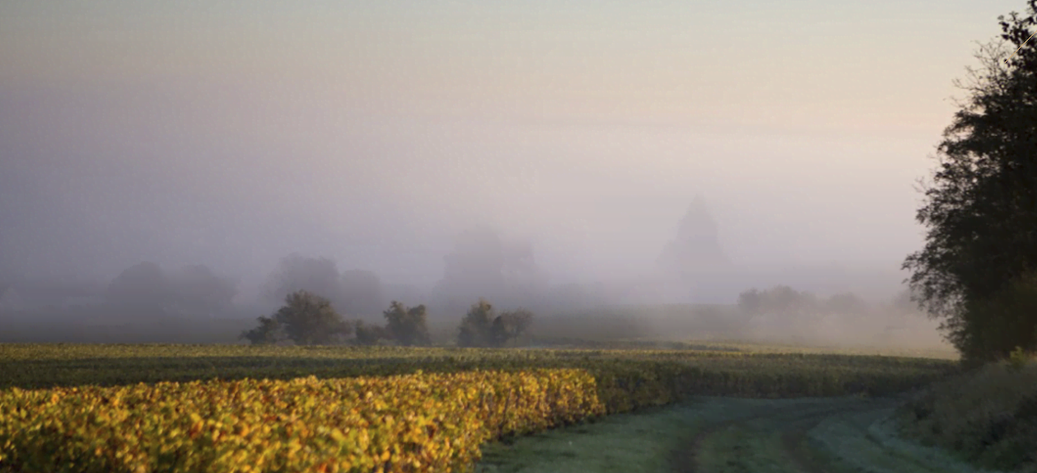 Champagne Marie Copinet Dinner