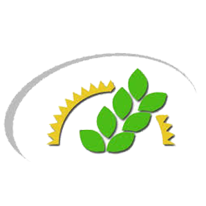 Hank's Hens and All Things Good