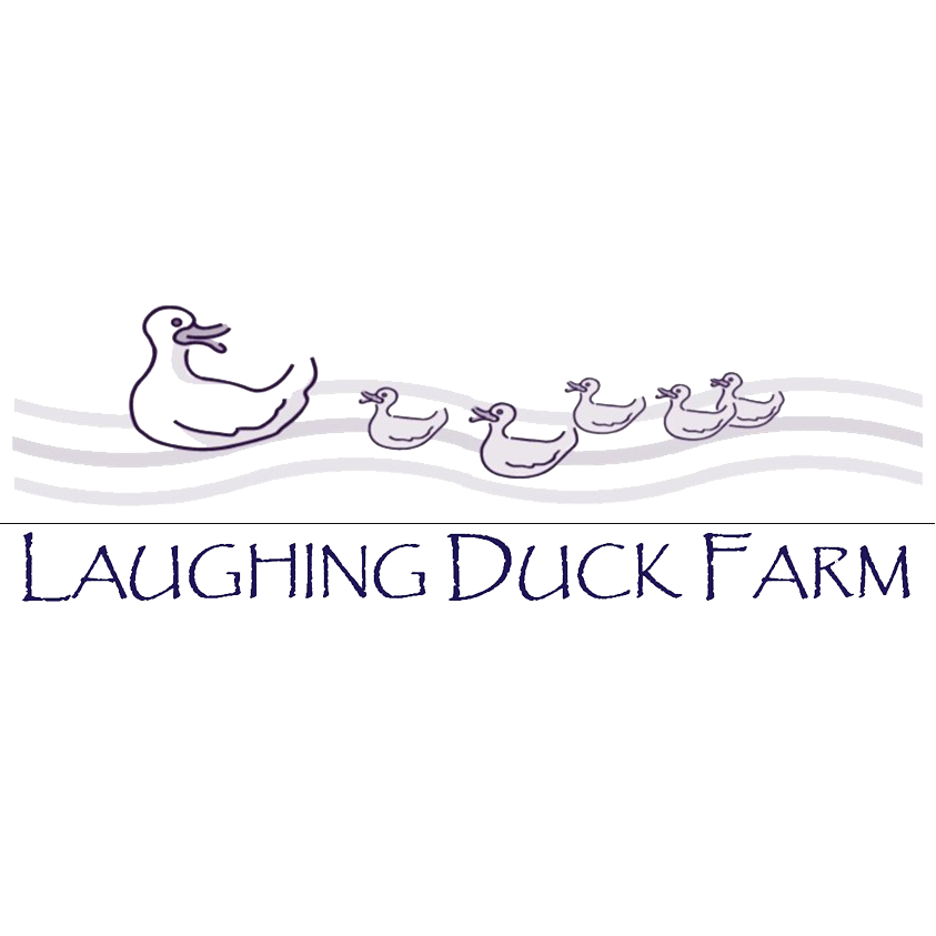 Laughing Duck Farm