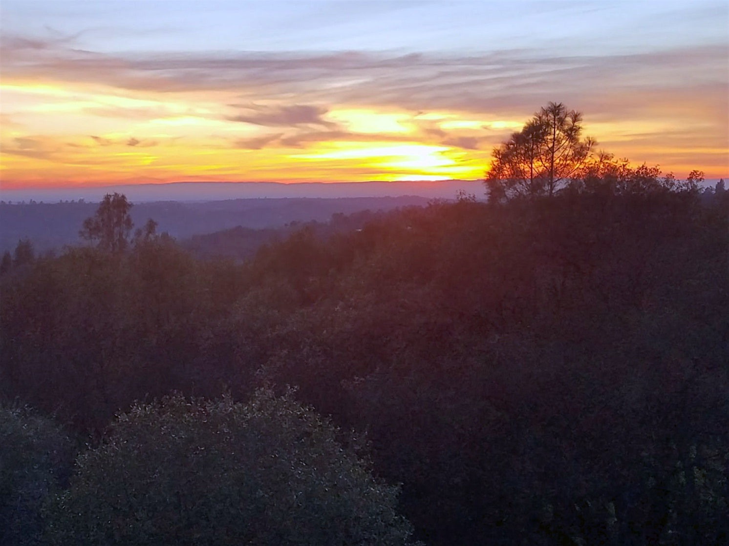 Outdoor Dining at our Foothills Home
