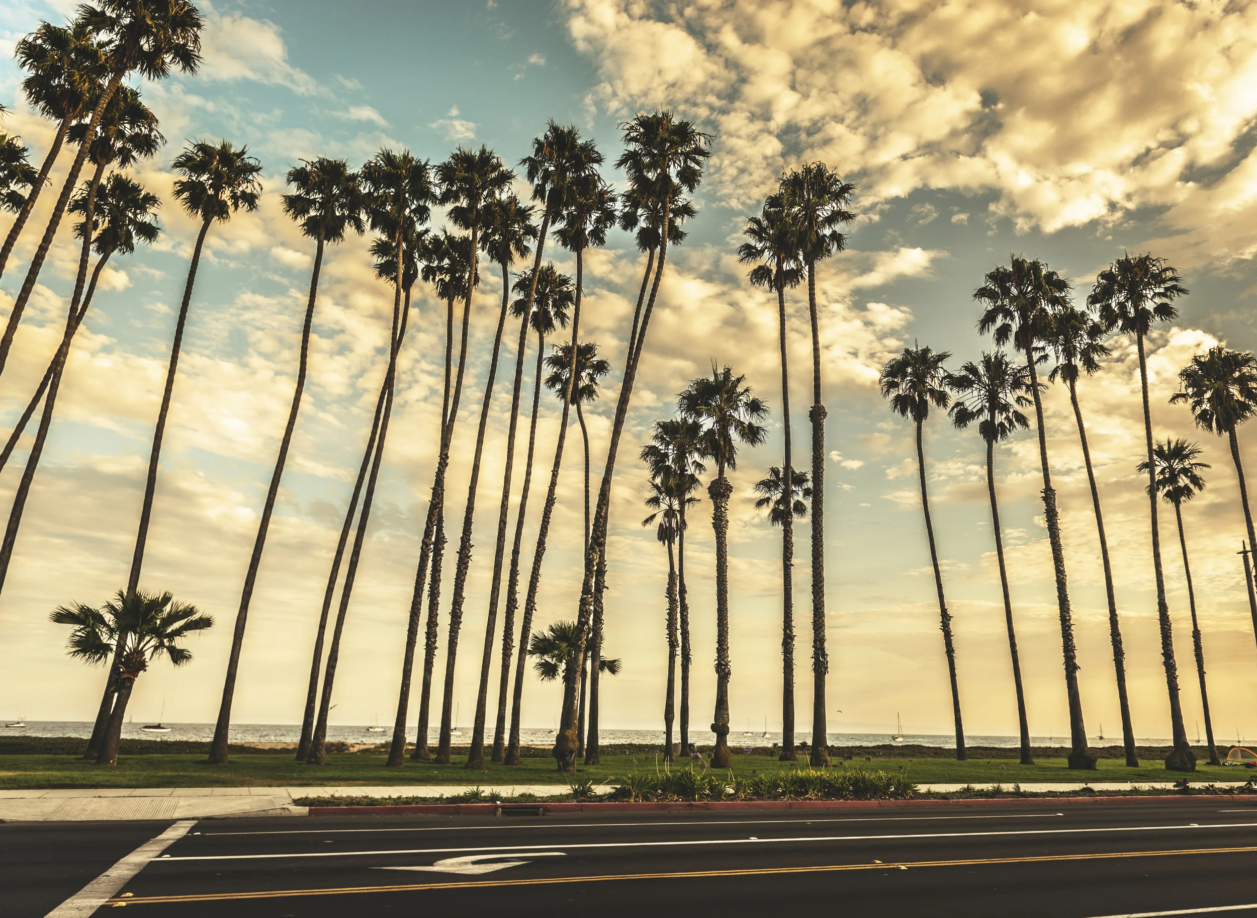 iStock_000052382264_Full.jpg