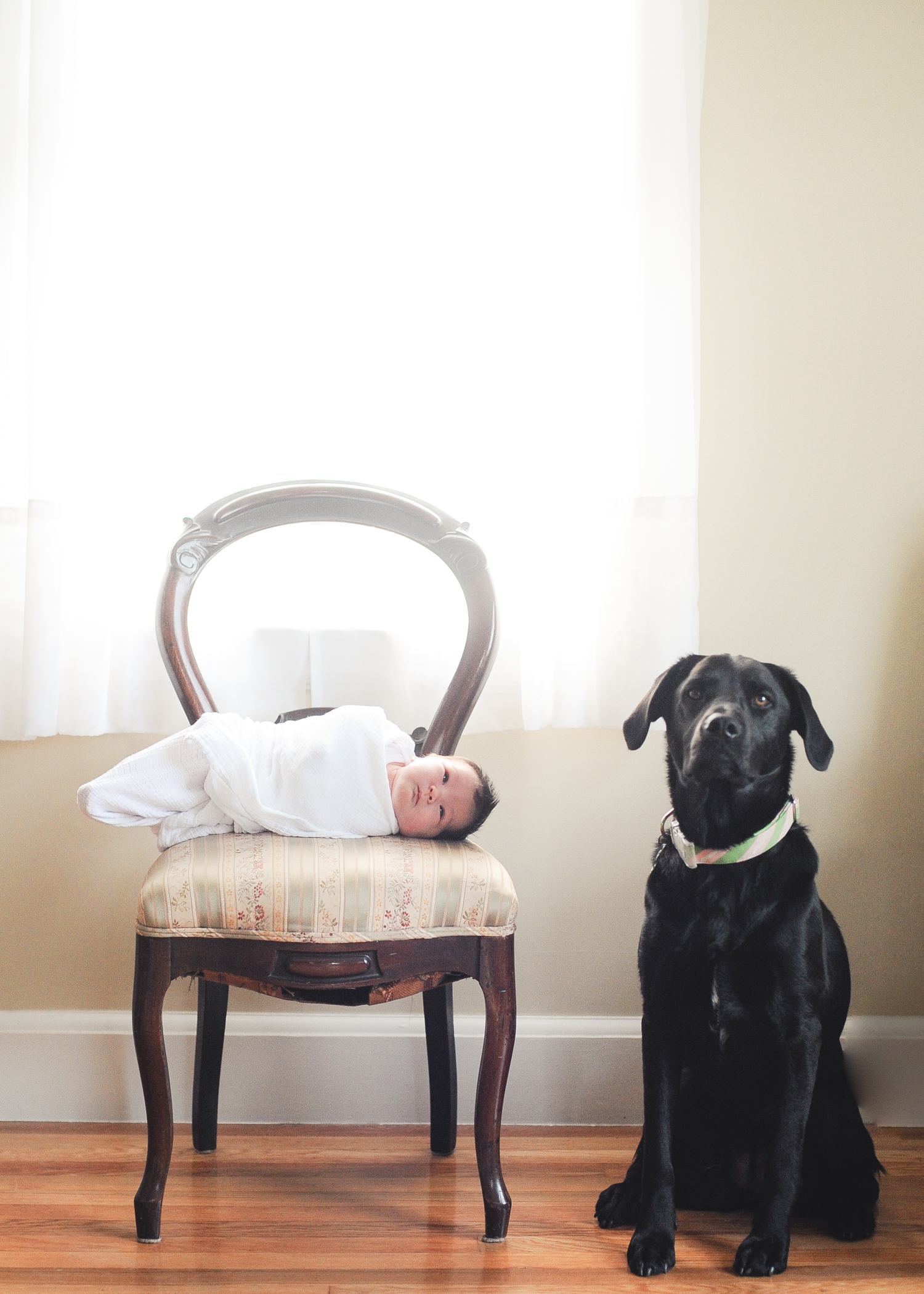 maine newborn lifestyle photography