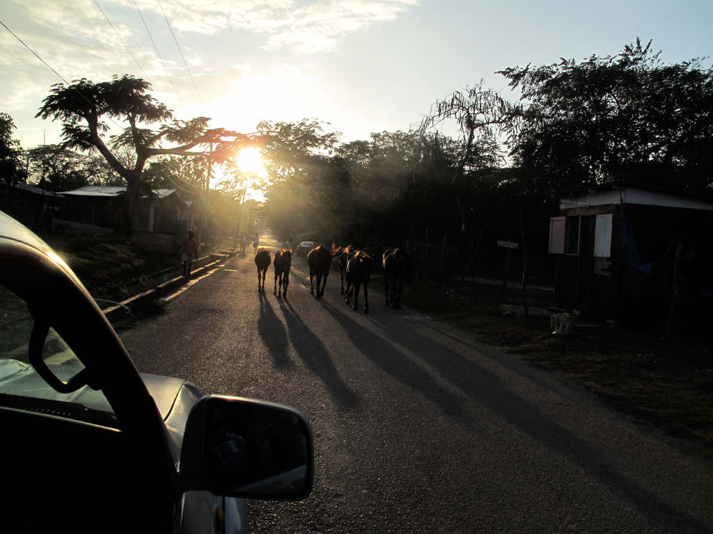  Passing shadows at sunset: Negril, Jamaica 