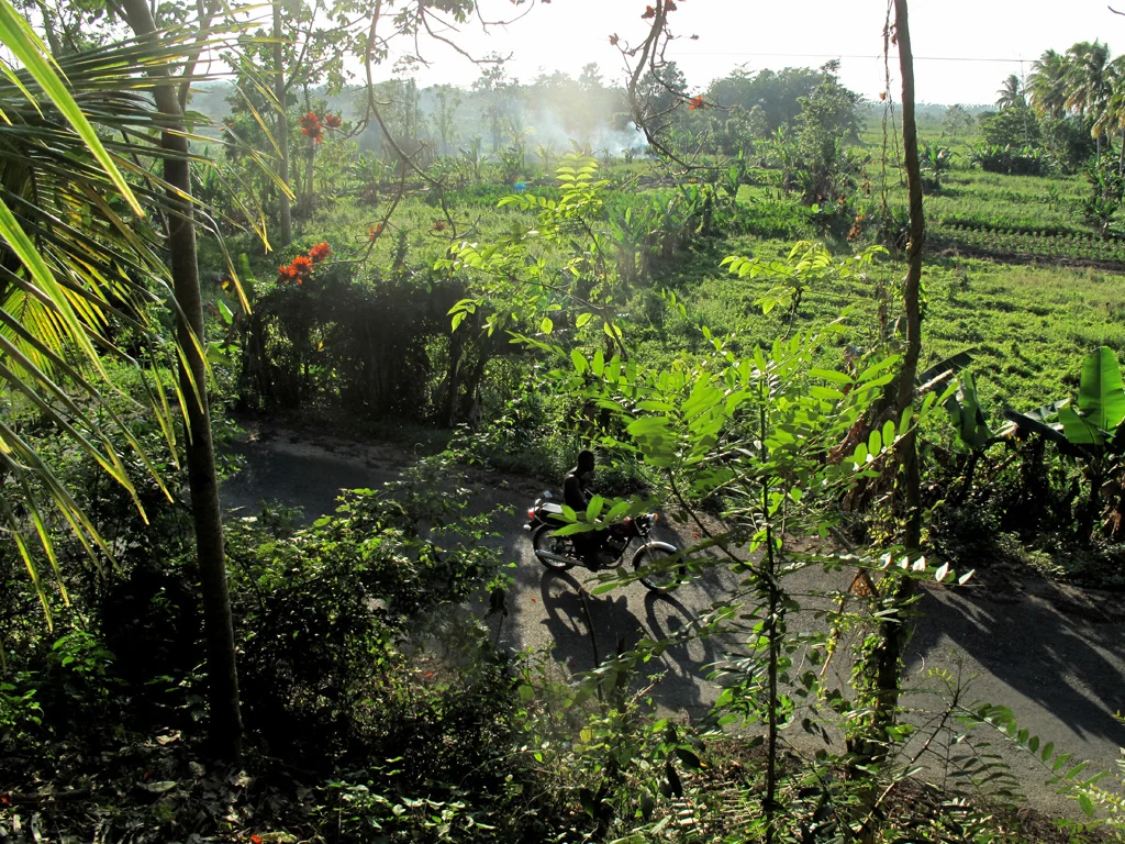  Burning fields from a hillside: Negril, Jamaica 