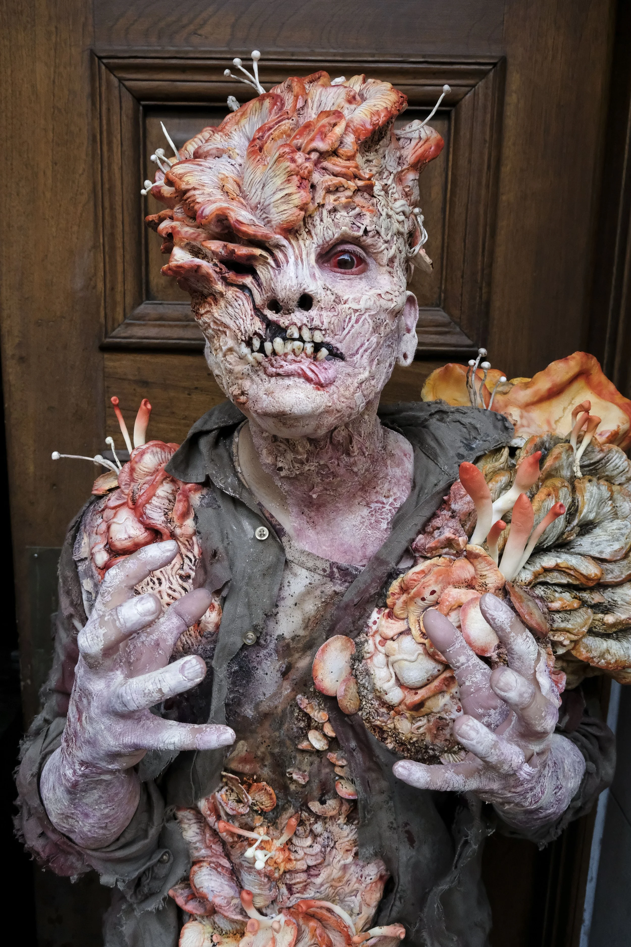 MT_Monsterpalooza2025_0623b.JPG