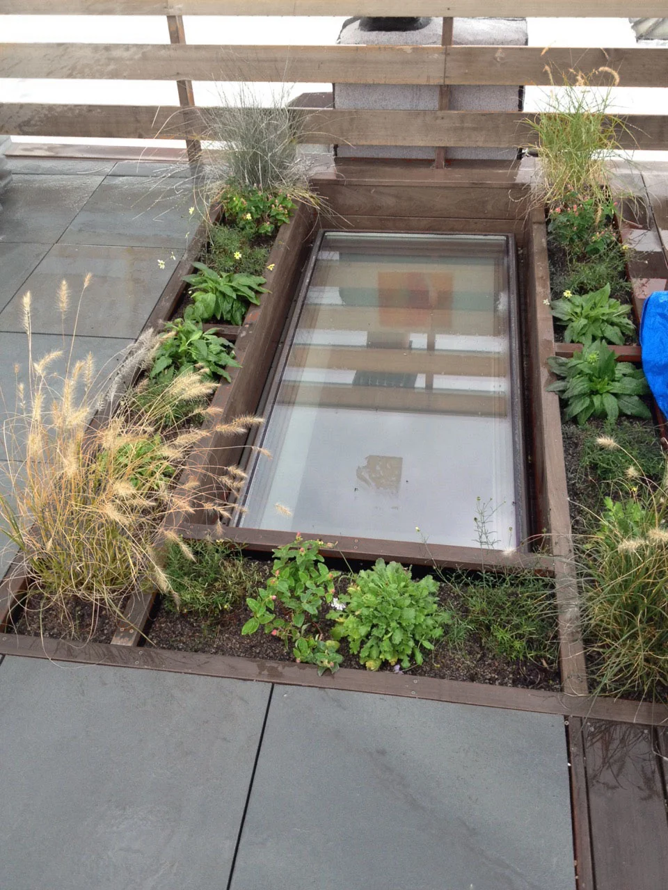 Skylight hidden in plain sight by freshly planted grasses and flowers