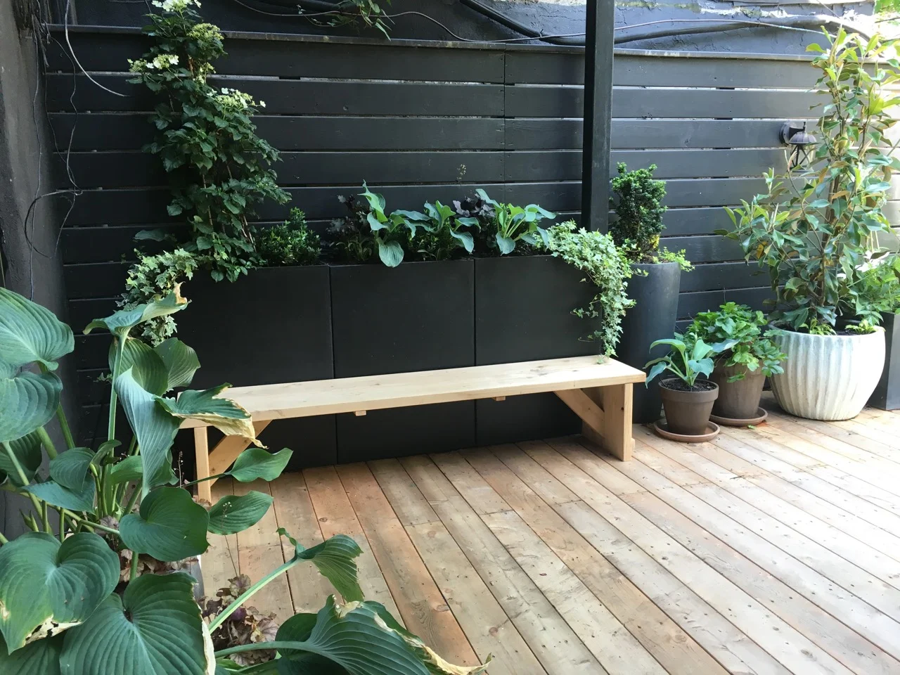 IMG_4092.jpg