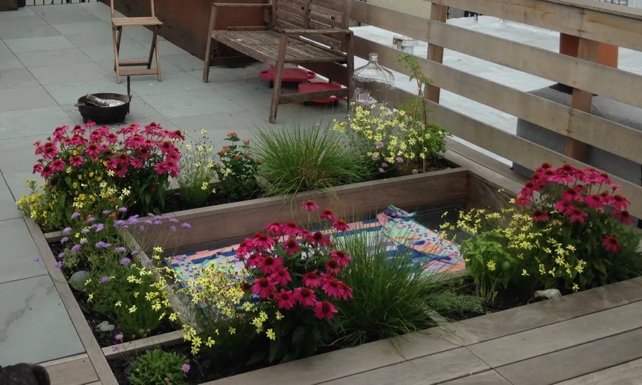 planter-skylight-custom-by-edible-petals.jpg