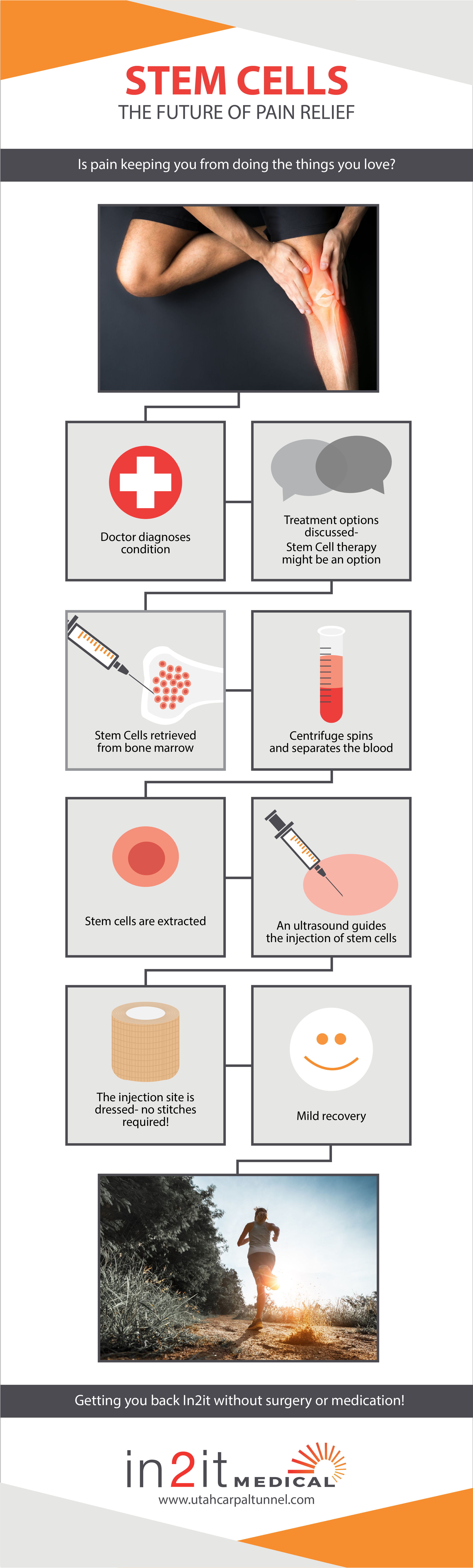 Update stem cell graphic.png