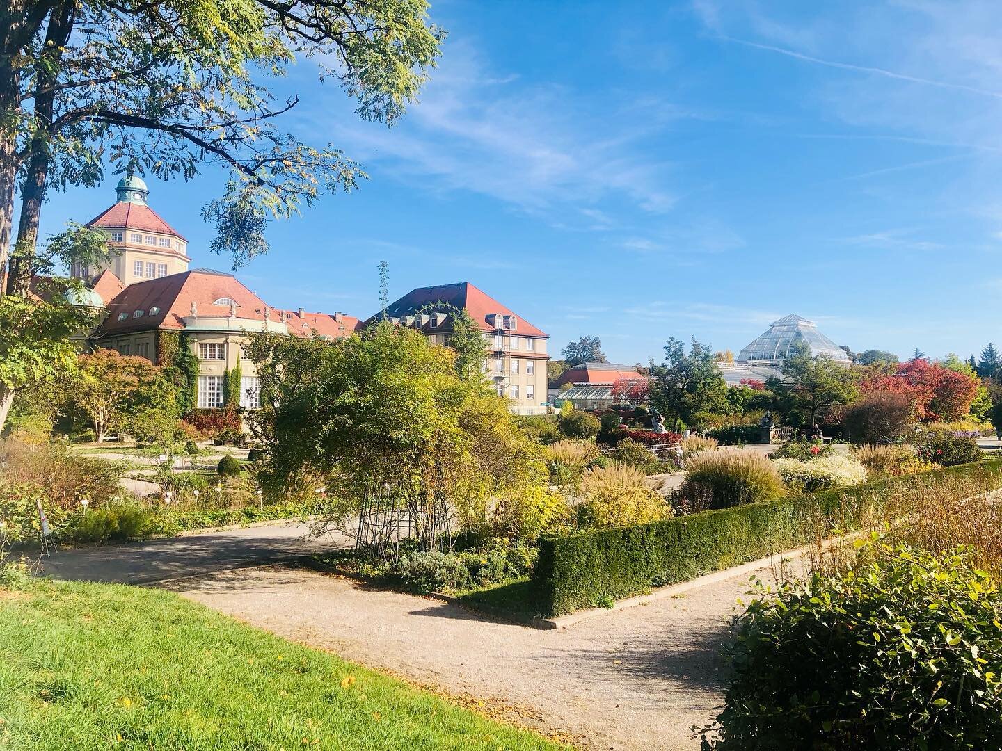 Was f&uuml;r eine Ehre!! 

Wir d&uuml;rfen im Auftrag der Freien Universit&auml;t Berlin einen Nutzpflanzengarten im Botanischen Garten aufbauen! 

Dazu geh&ouml;rt auch die Erarbeitung eines Bildungskonzepts, damit bald Jung und Alt mehr &uuml;ber d