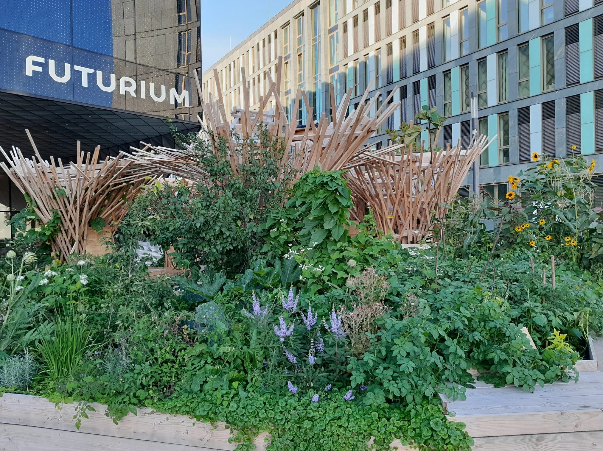 2.2 Superland-2_PX.jpg