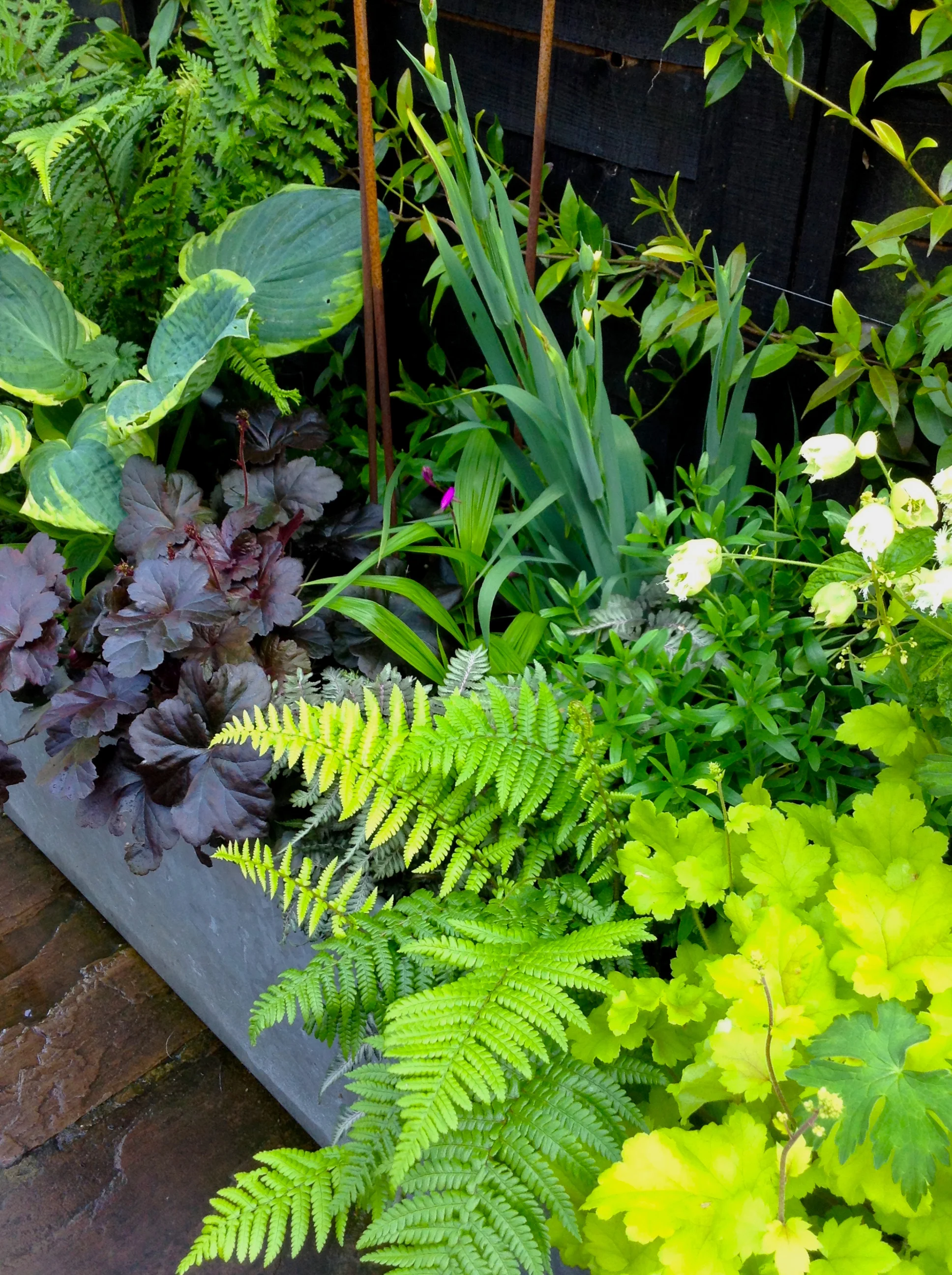 Containers for texture and for colour