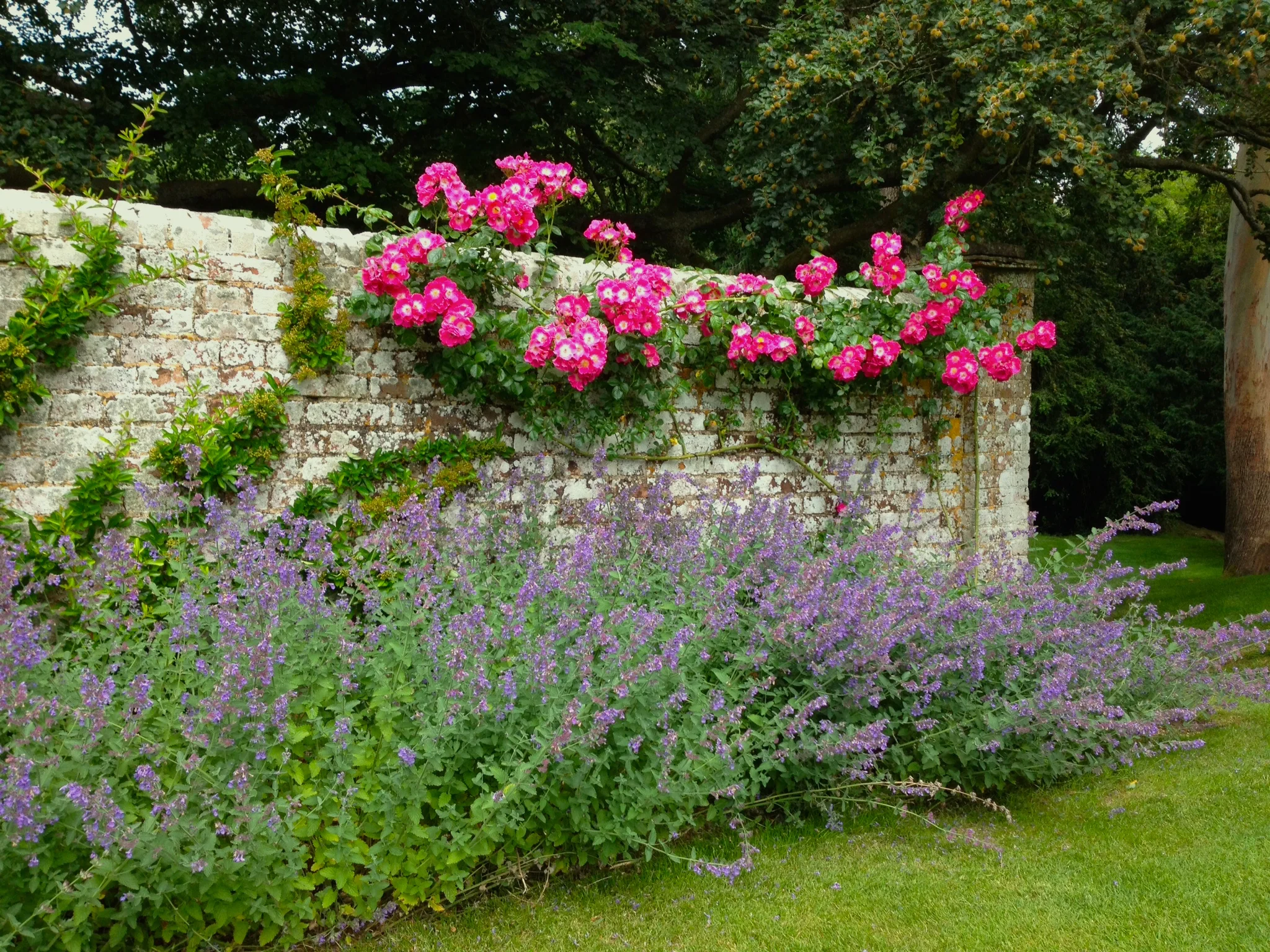 Elegant planting for traditional spaces