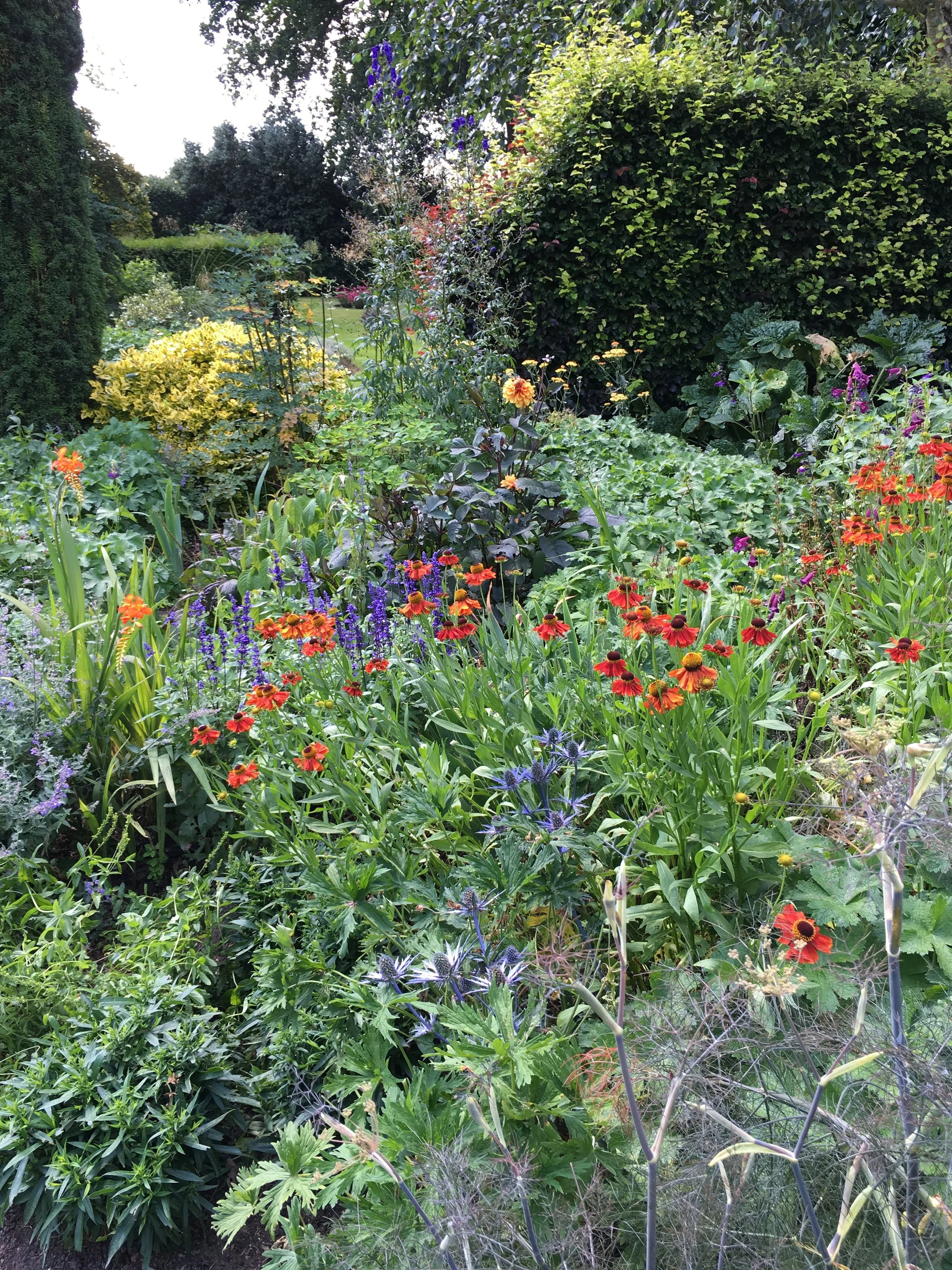 Planting plans for sunny borders full of colour