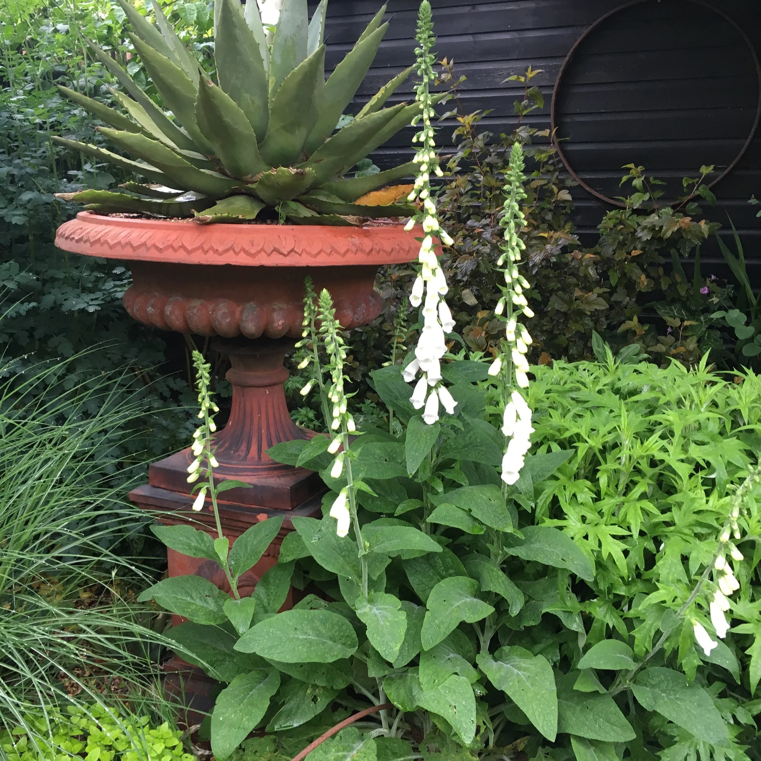 Garden structures in design