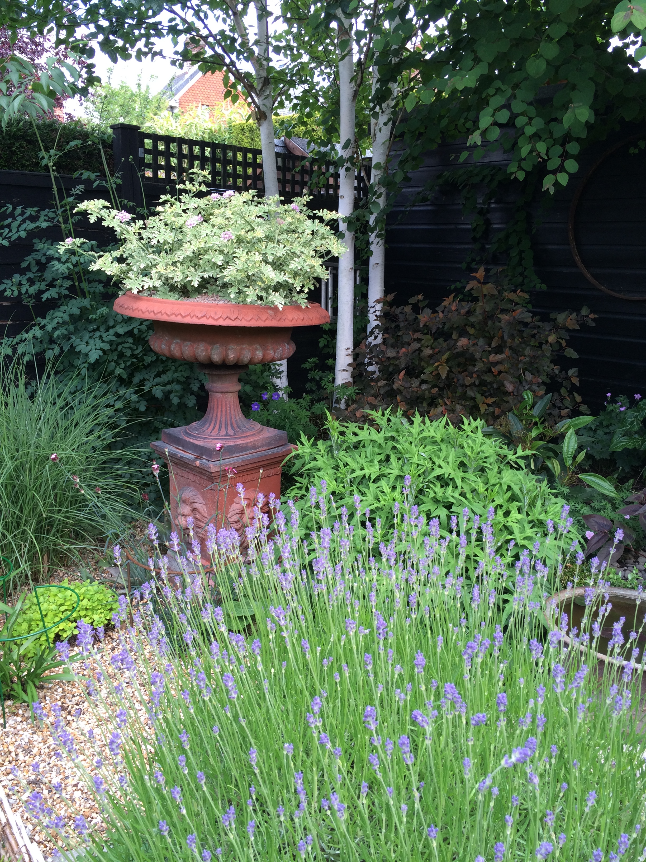 Seasonal ornamental designs