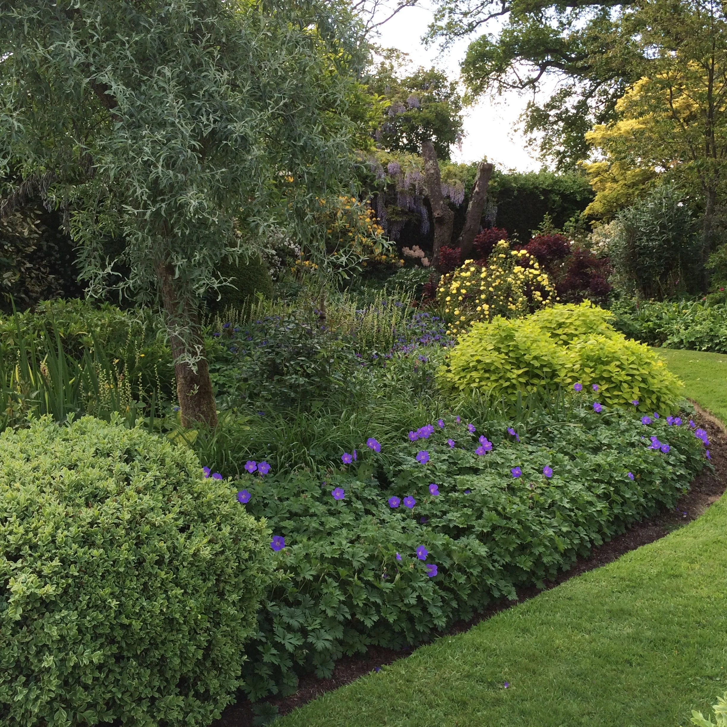 Serene planting schemes