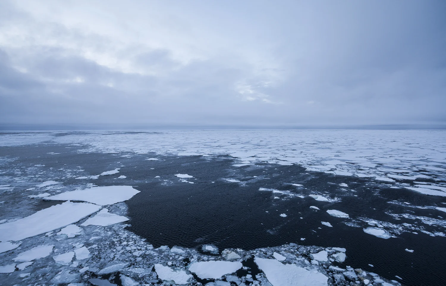 Client: Alfred Wegener Institute, Helmholtz Centre for Polar and Marine Research