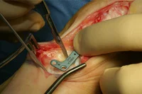 thumb-obw-014.jpg