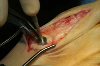 thumb-obw-022.jpg