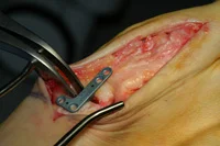 thumb-obw-023.jpg