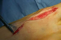 thumb-obw-041.jpg