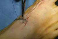 thumb-obw-042.jpg