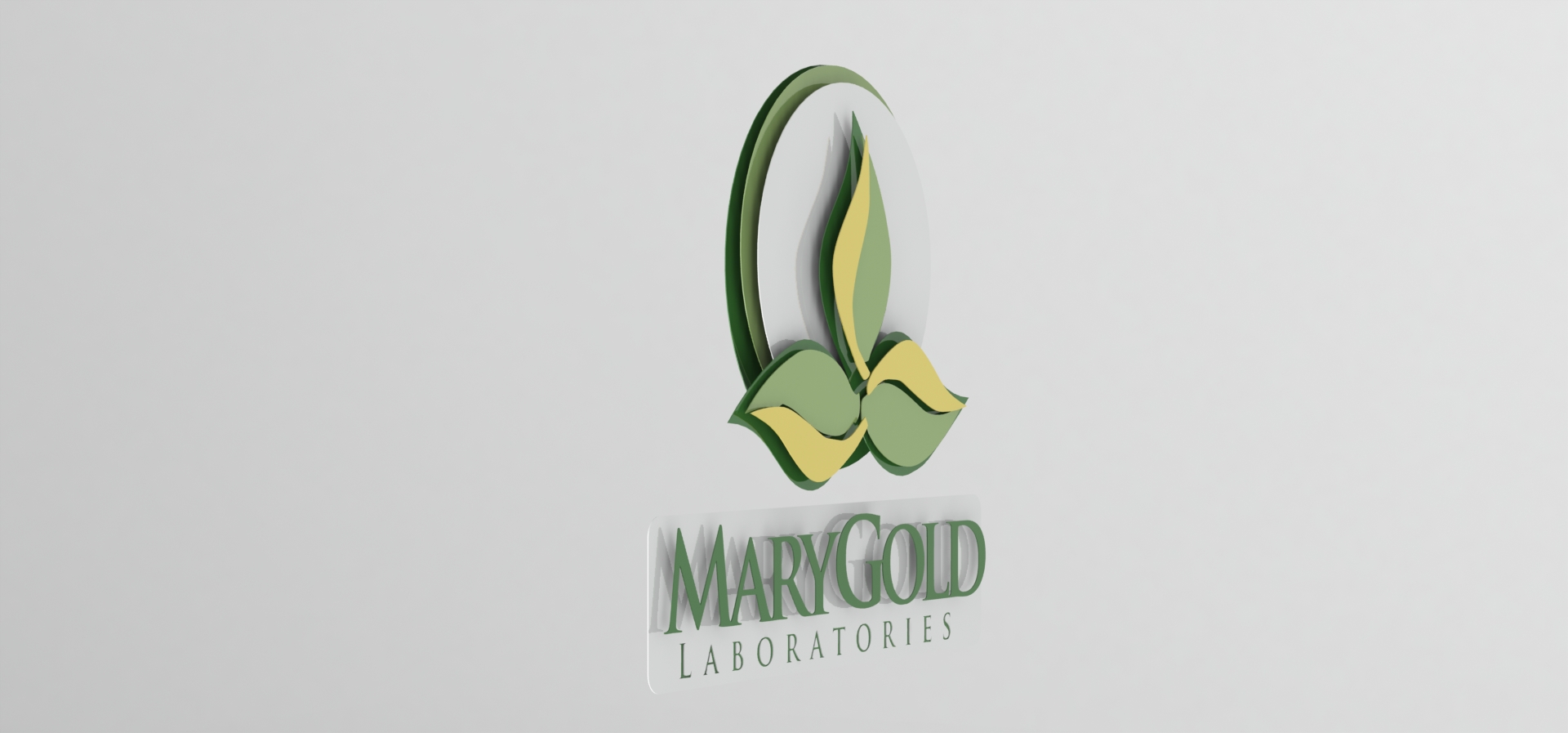 p3 - left MaryGold.JPG